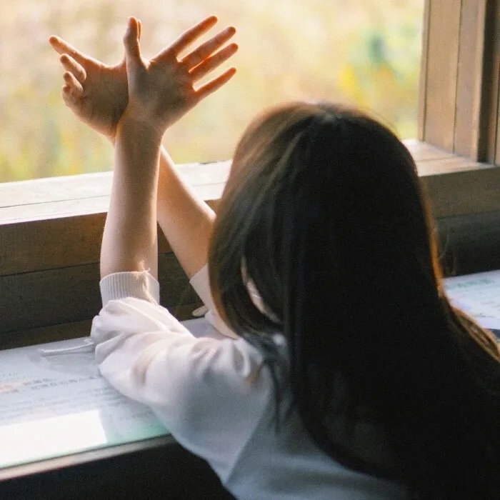 海贼王剧场版3：珍兽岛的乔巴王国